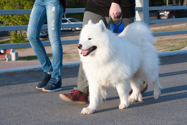 Similar image 13043733