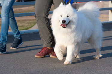 Similar image 13044178