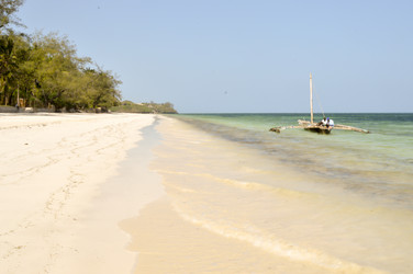 Similar image 13044179