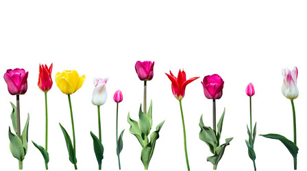 Similar image 13044808