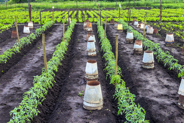 Similar image 13058814