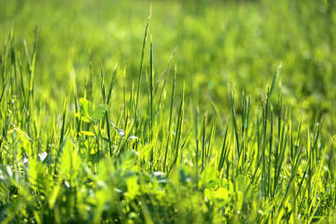 Similar image 13059120