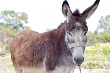 Similar image 13058963