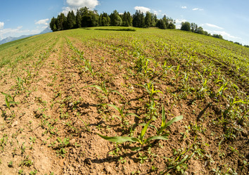 Similar image 13059820