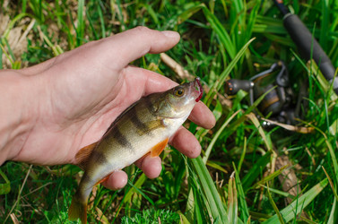 Similar image 13058815