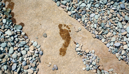 Similar image 13058889