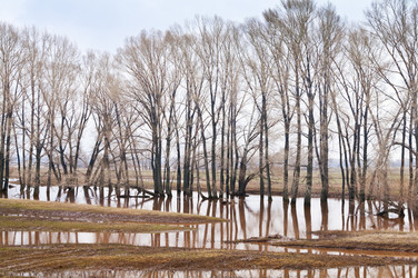 Similar image 13059083