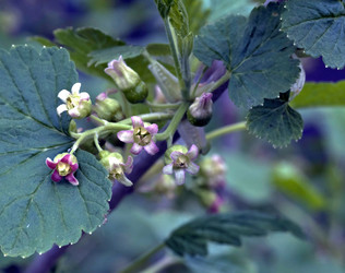 Similar image 13058907