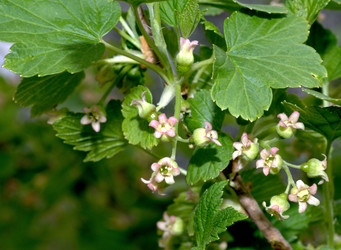 Similar image 13058908