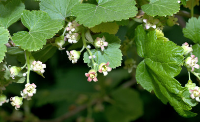 Similar image 13058909