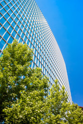 Similar image 13058999