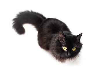 Similar image 13059011