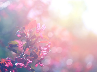 Similar image 13059122