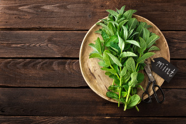 Similar image 13059527