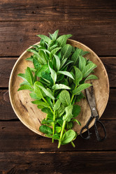 Similar image 13059337