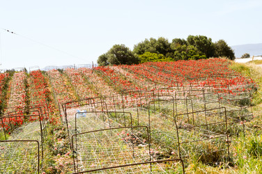 Similar image 13058984