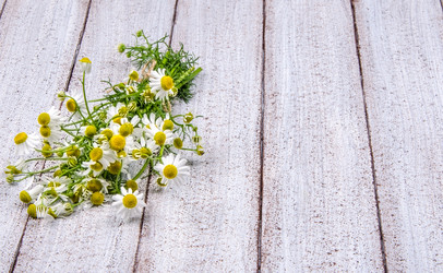 Similar image 13059016