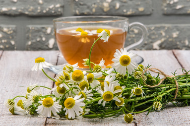 Similar image 13059025