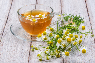 Similar image 13059026