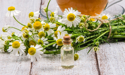 Similar image 13059027