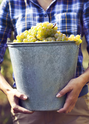 Similar image 13063223