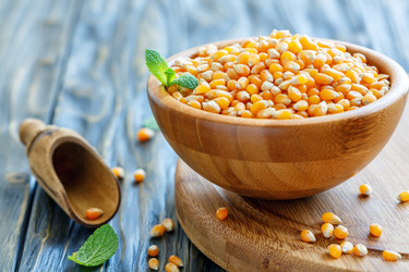 Similar image 13063265