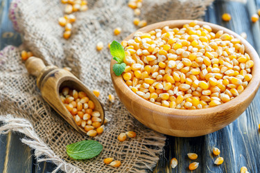 Similar image 13063267