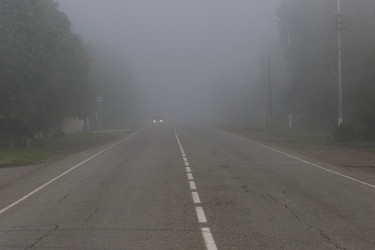 Similar image 13061402