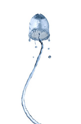 Similar image 13059220