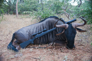 Similar image 13063433