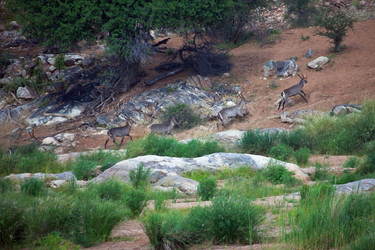 Similar image 13063434