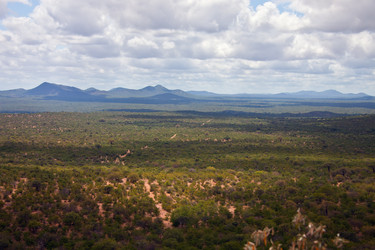 Similar image 13063435