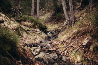 Similar image 13064091