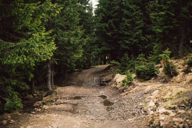 Similar image 13064092