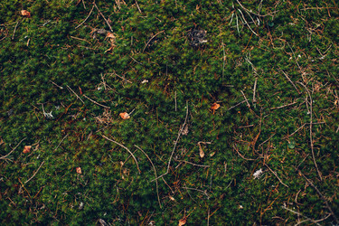 Similar image 13064095