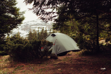 Similar image 13064097