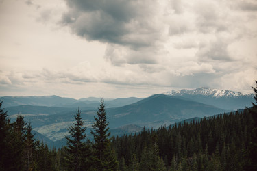 Similar image 13064098