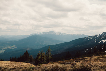 Similar image 13064101