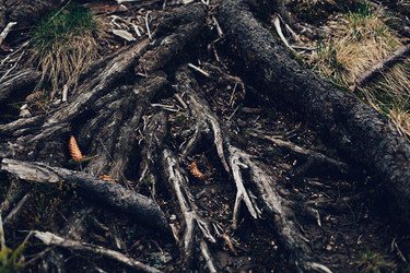 Similar image 13064112