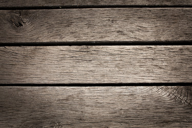 Similar image 13064115