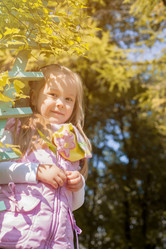 Similar image 13080379