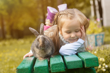 Similar image 13080577