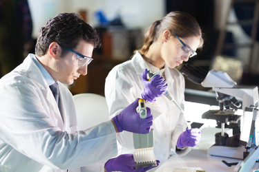 Similar image 13107221