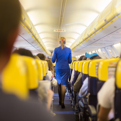 Similar image 13107239