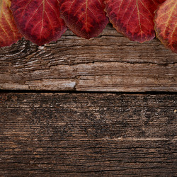 Similar image 13098134