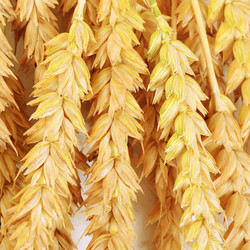 Similar image 13098152