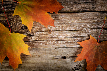 Similar image 13098189