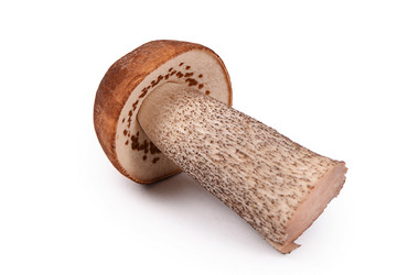 Similar image 13098213