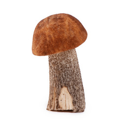 Similar image 13098214