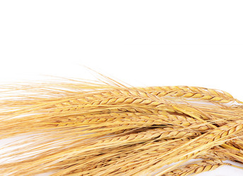 Similar image 13098390